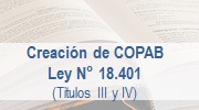 Ley 18.401 - Creación COPAB